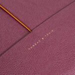 THE BACKPACK - Image 4